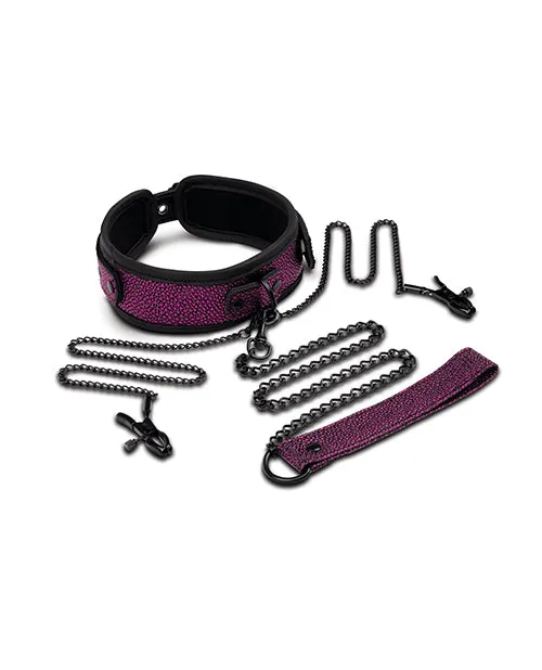 Female Sex Toys XGEN WhipSmart Dragons Lair Collar Leash Nipple Clips Set Female Sex Toys XGEN WhipSmart Dragons Lair Collar Leash Nipple Clips Set